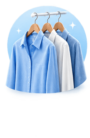 Wash & Steam Iron